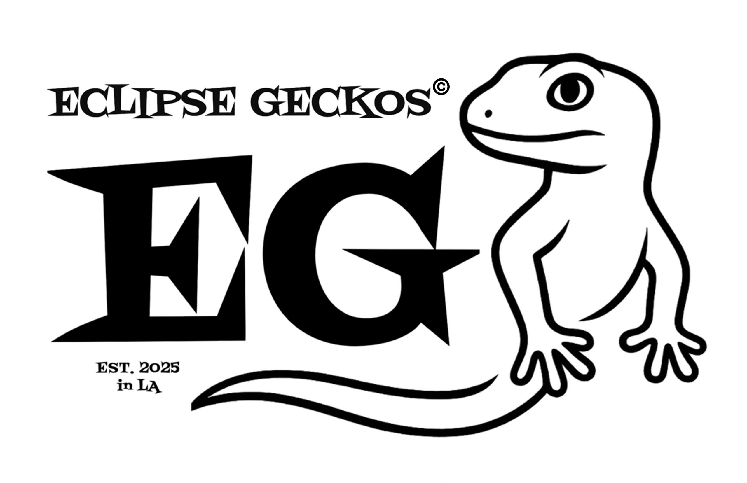 Eclipse Geckos – Leopardgeckos Hatched in LA
