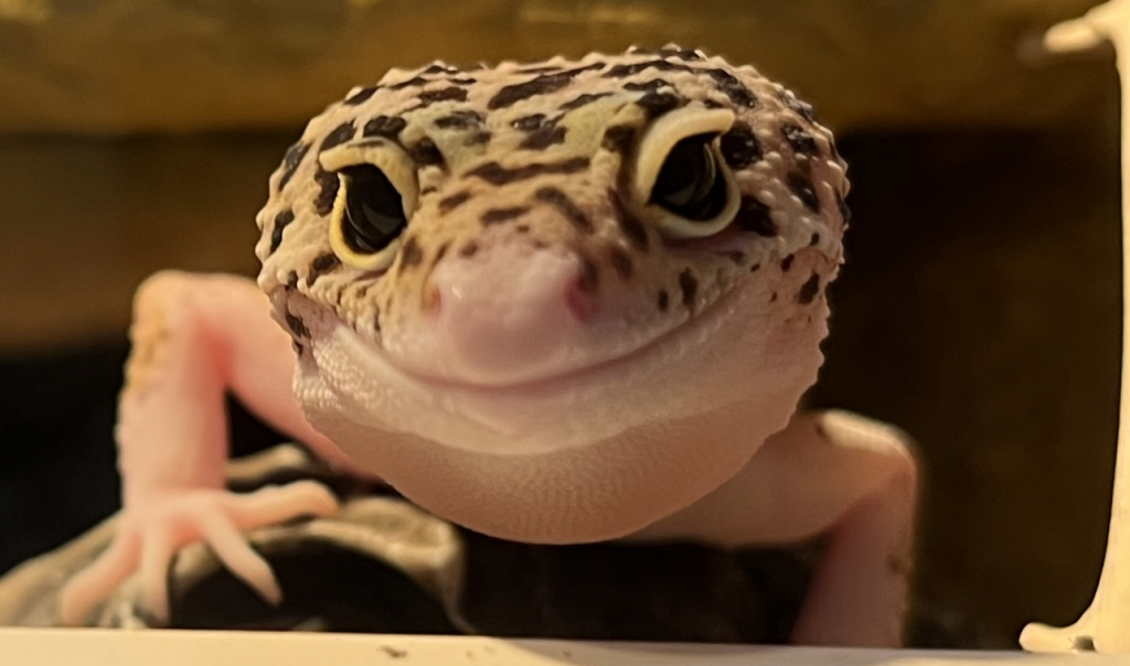 Wir freuen uns auf deine Anfrage